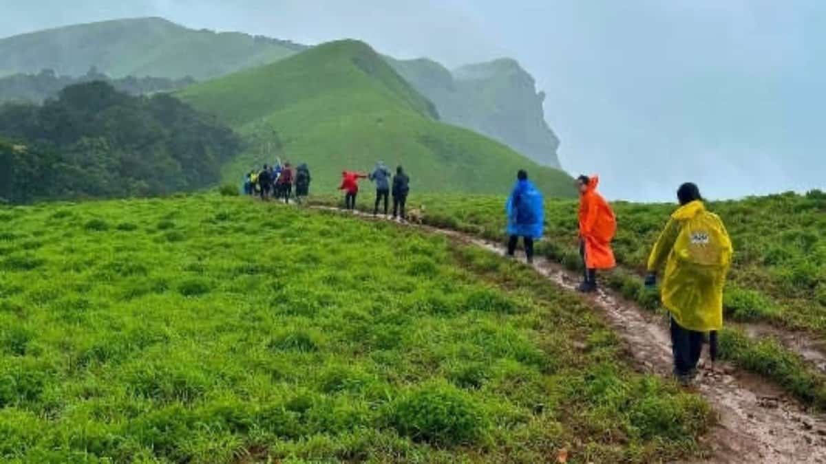 Photo of Shefali Shivasharan