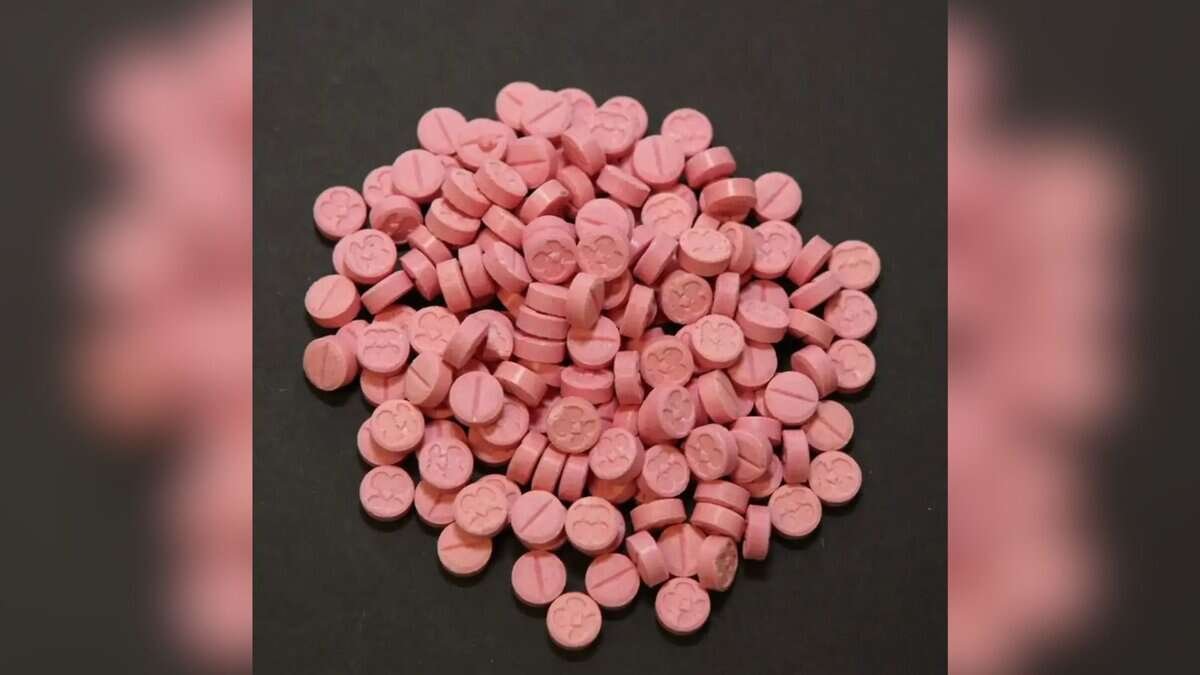 The Siasat Daily: Latest Hyderabad News, Telangana, Entertainment, India