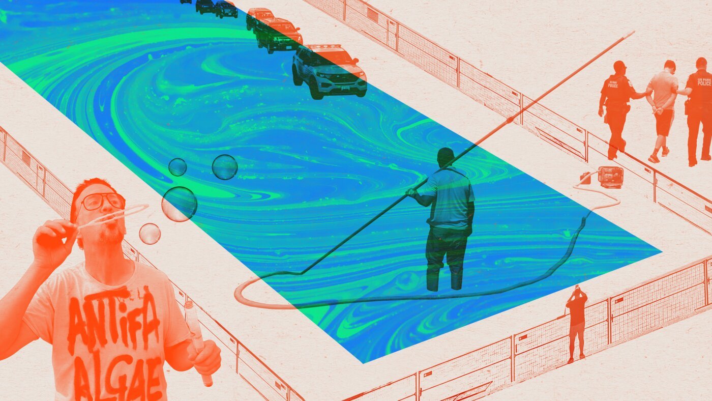 D.C. Reflecting Pool keeps viewers, bloggers glued : NPR
